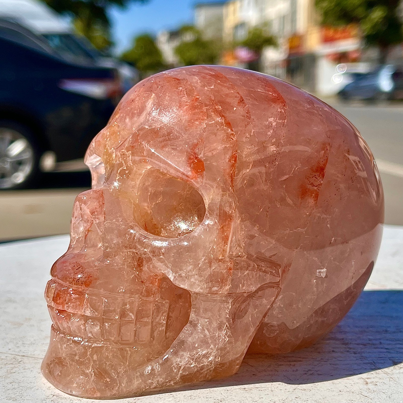 2.53LB Natural dreamy red gum flower skull hand carved skull healing
