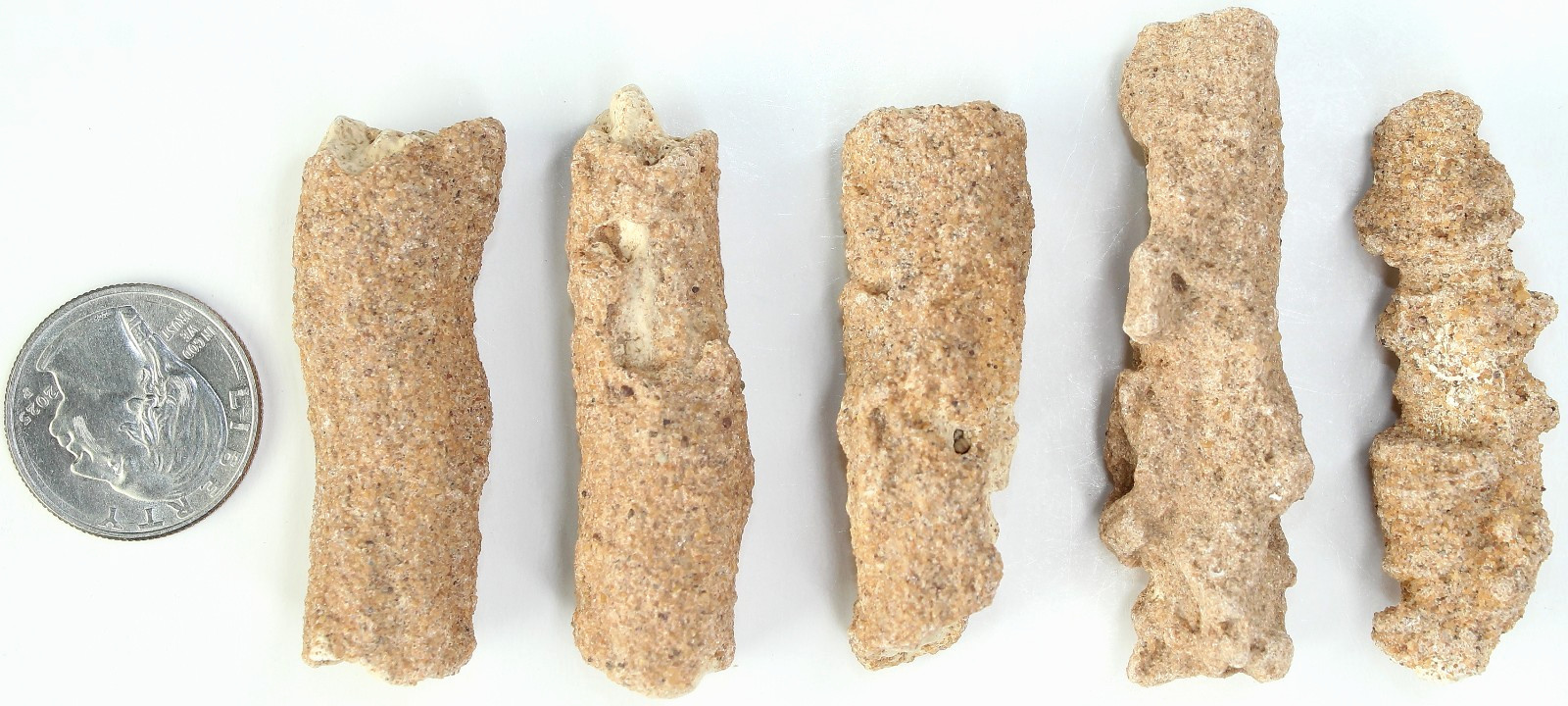 5 Pieces of Rare AAA Algerian Fulgurite (Petrified Lightning) / 76gr / 4109