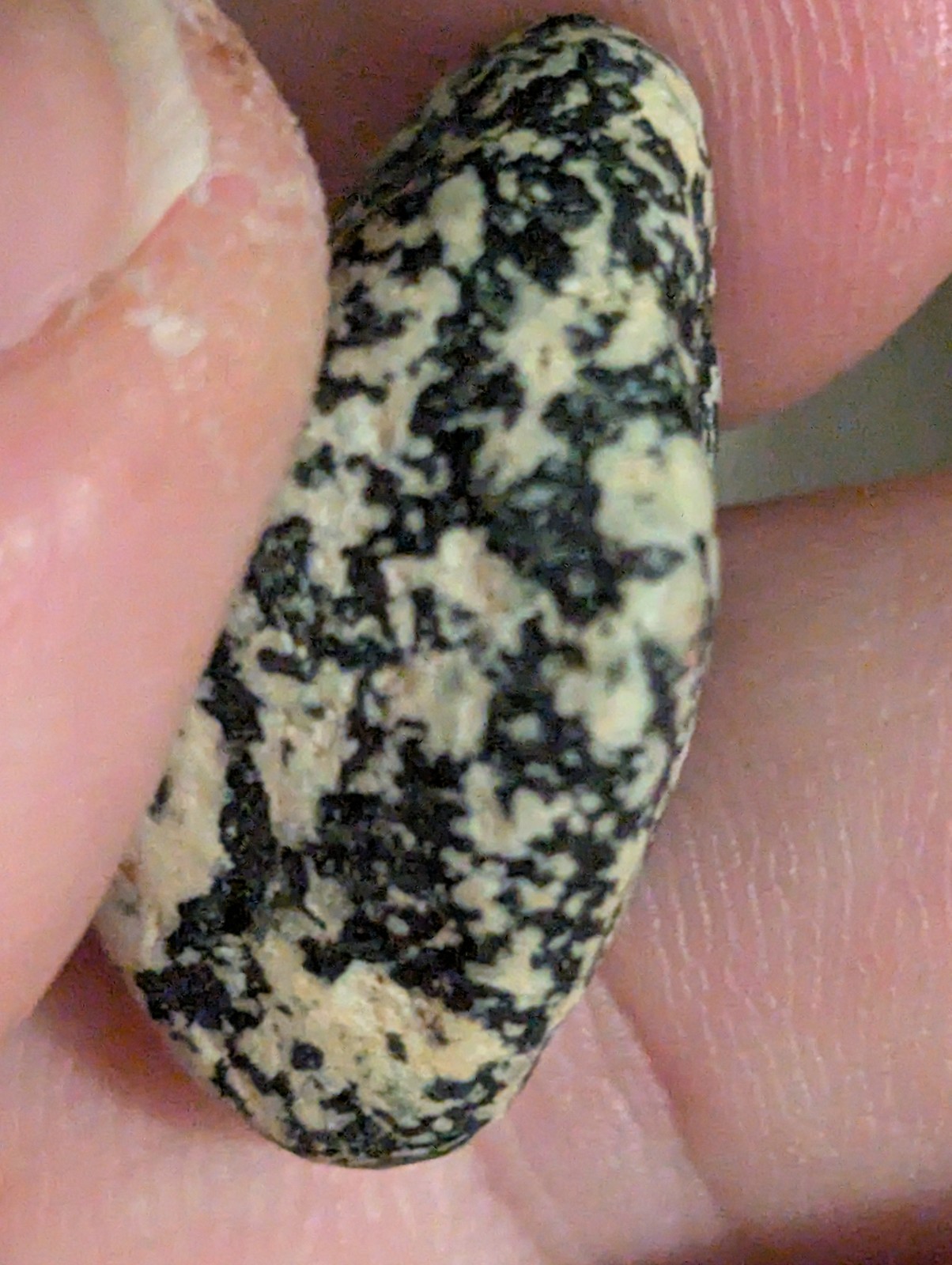 Black & Beige Colored Stone