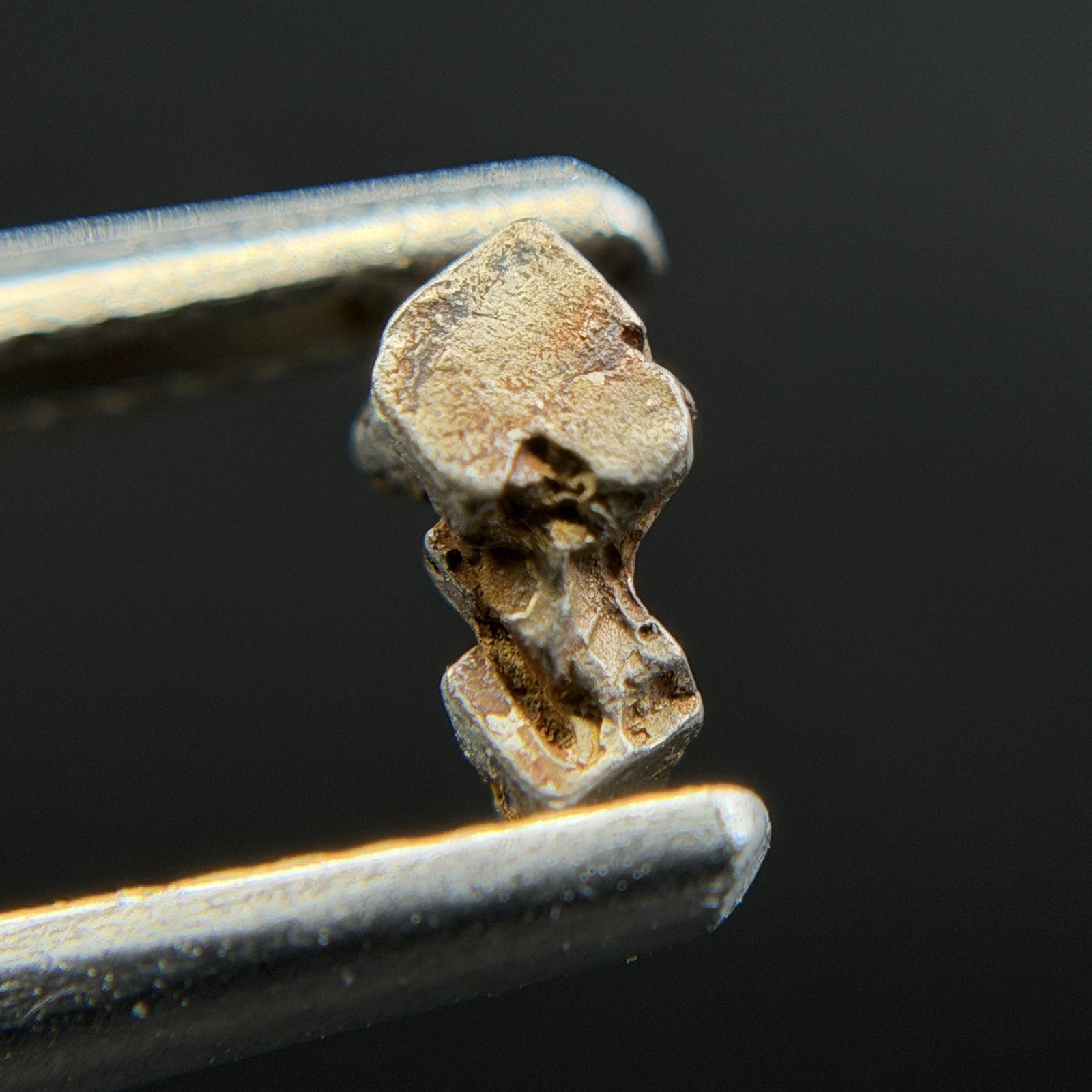 Natural Platinum with Gold Crystal/Rare Nugget/Konder massif, Russia) – 2.065 ct