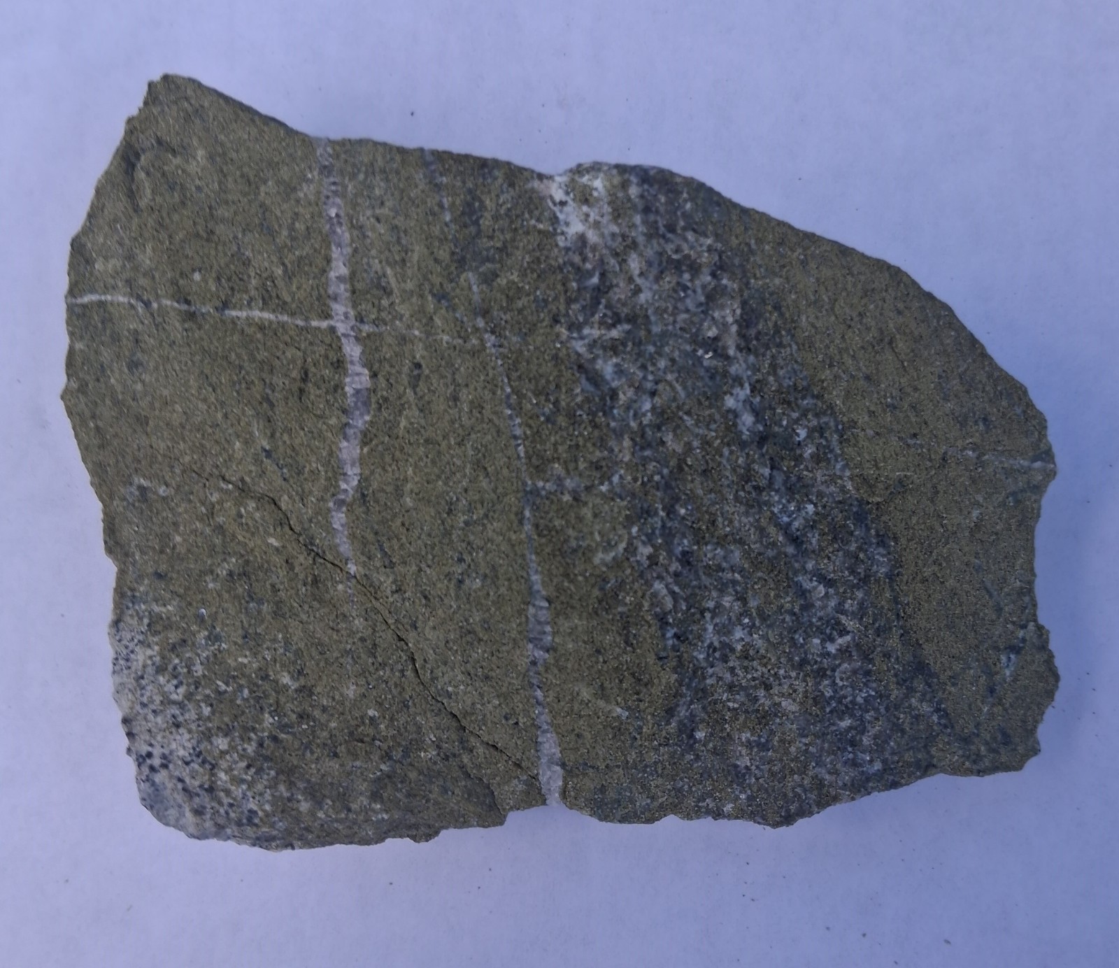 Epidote Gneiss rock specimen Metamorphic