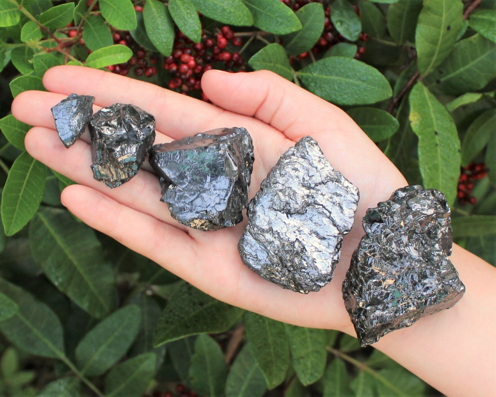 Elite Shungite Wholesale Lots – Natural Noble Shungite Crystals (EMF Protection)