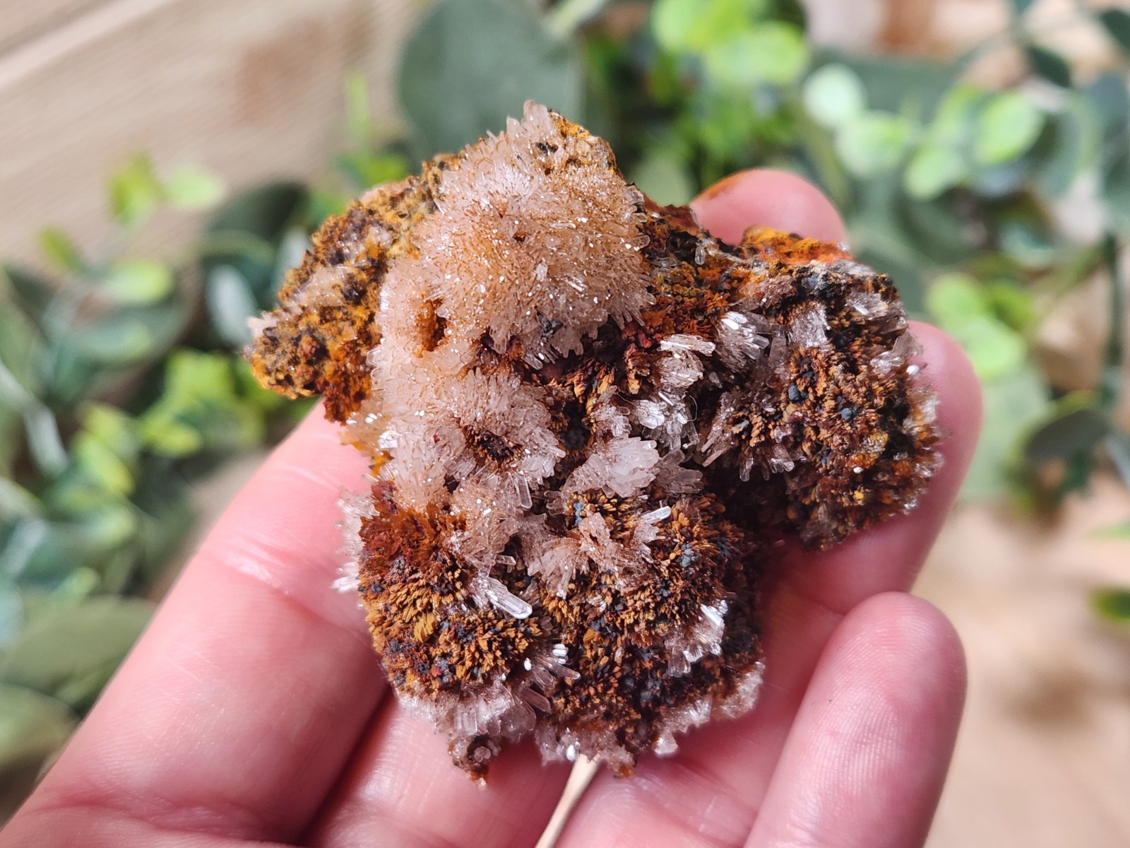 Hemimorphite on Matrix Ojuela Mine Mapimi Durango Mexico 65g Mineral Specimen