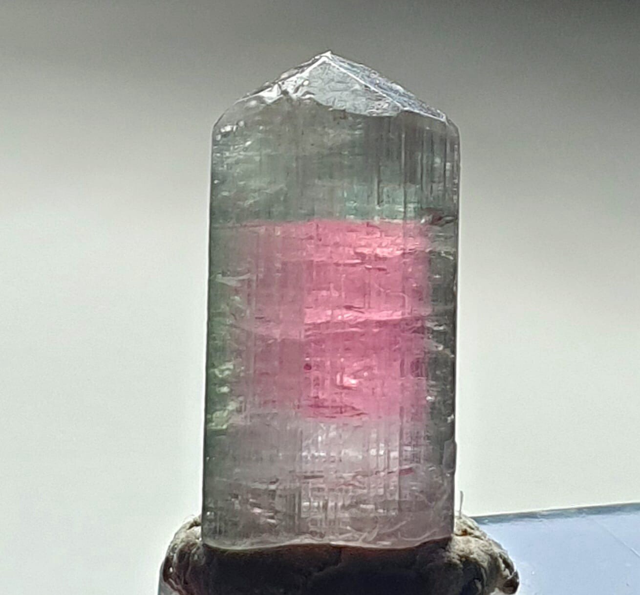 Saturated Bi Color Terminated Tourmaline Crystal From Afganistan 🇦🇫