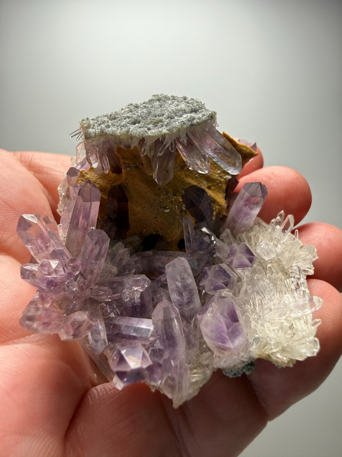 Stunning Amethyst cluster- unique formation! Las Vigas de Ramirez, Mexico