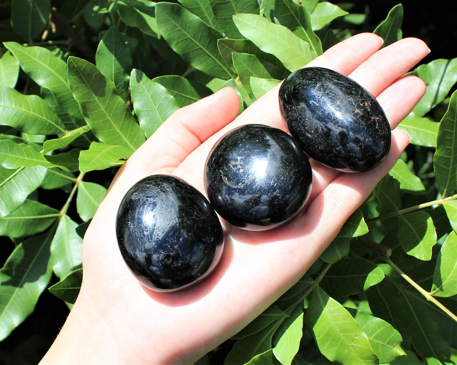 Wholesale Bulk Lot Black Tourmaline Palm Stones – Polished Tourmaline Pebbles