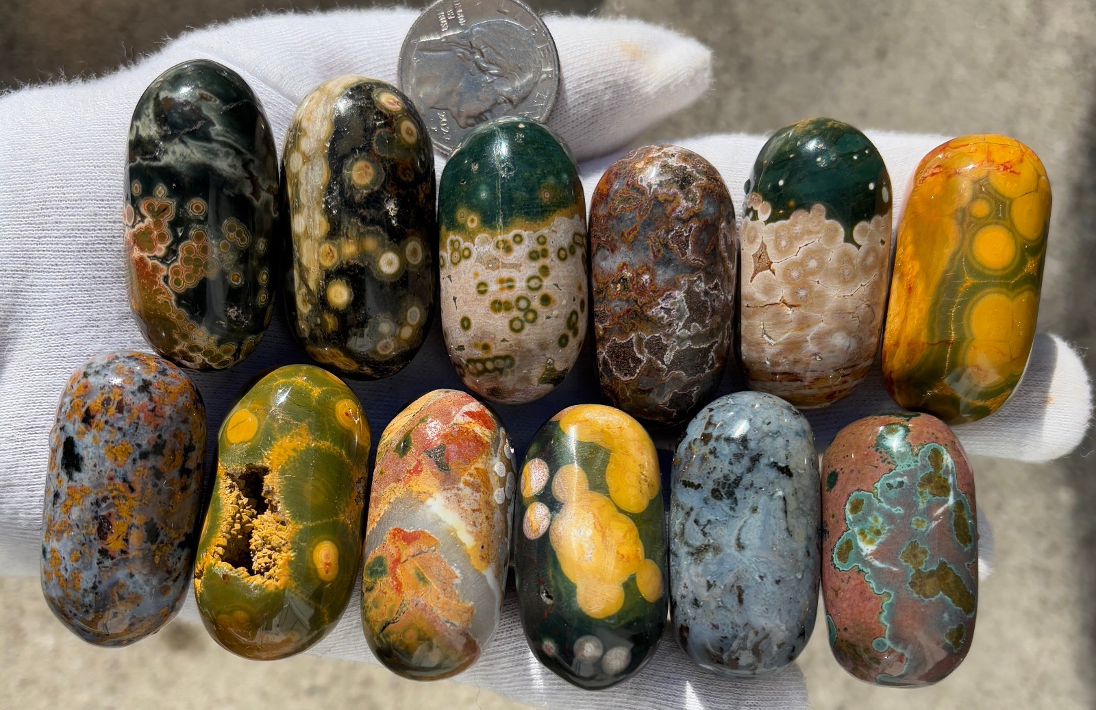 US SALE 349g LOT 12 OJ OCEAN JASPER LOG TUMBLE TUMBLES TUMBLED STONE STONES