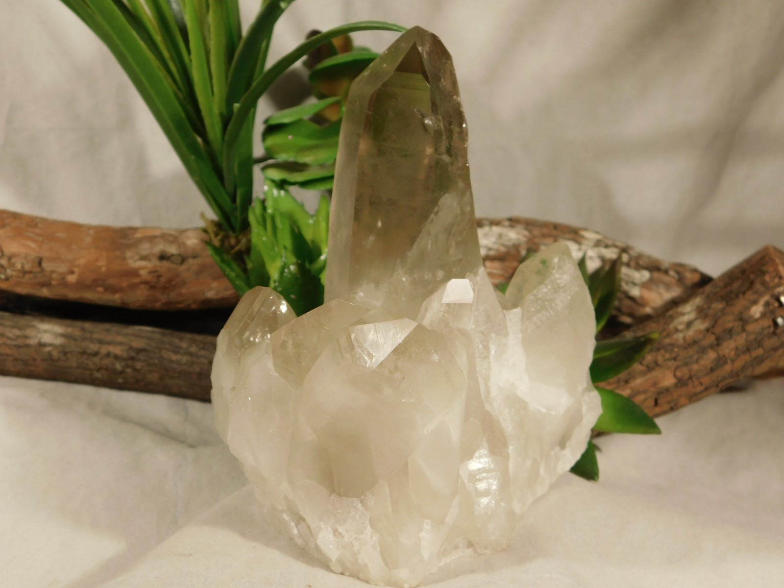 BIG! Free Standing! SMOKY Quartz Crystal Cluster From Brazil 792gr