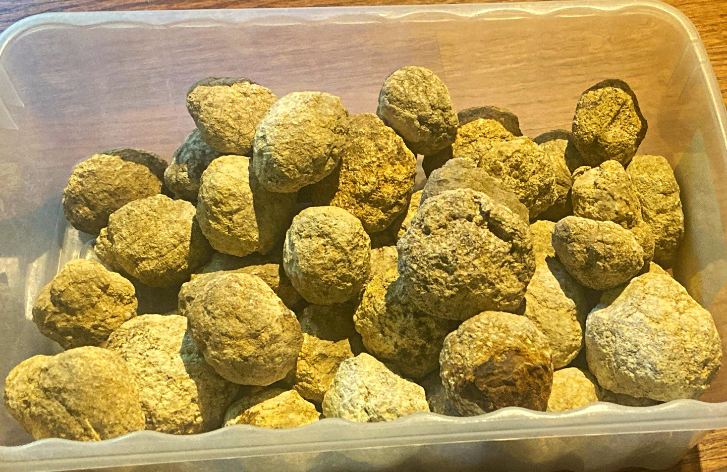 Medium Unbroken Geodes (Lot of THREE)
